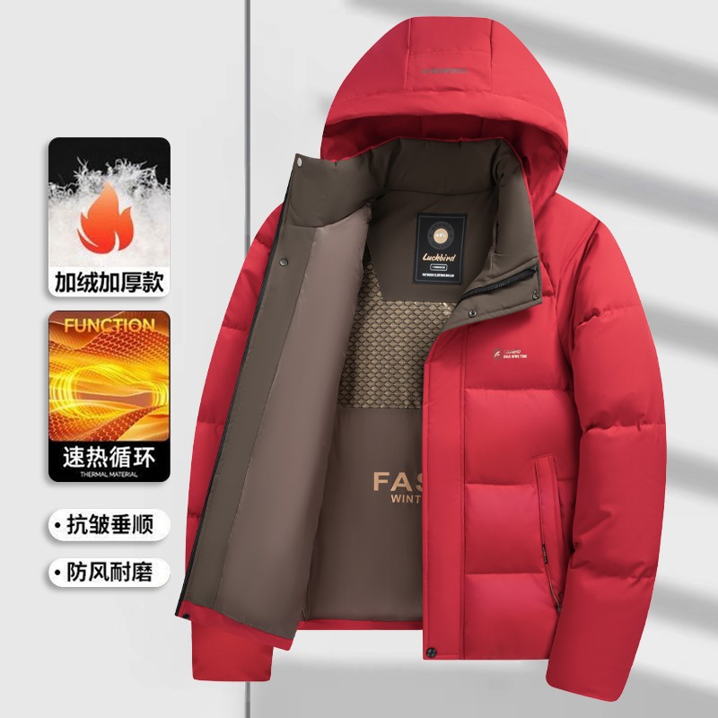 Grafeen Verdikte Winterjas Her - Winter Clothing Brands recensie en prijs